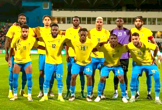 Gabon suspends national team